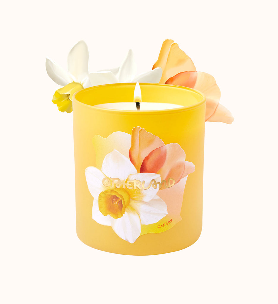 Candle_Jun様2 Daffodil Candle - Canary | Otherland