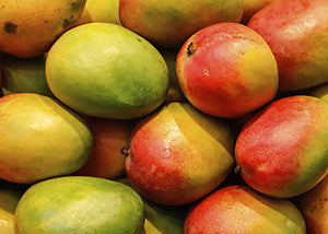 Mangoes with green and red hues arranged together