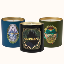 Alpine Crystal, Fallen Fir and Forest Veil Single Wick Candles on a white background