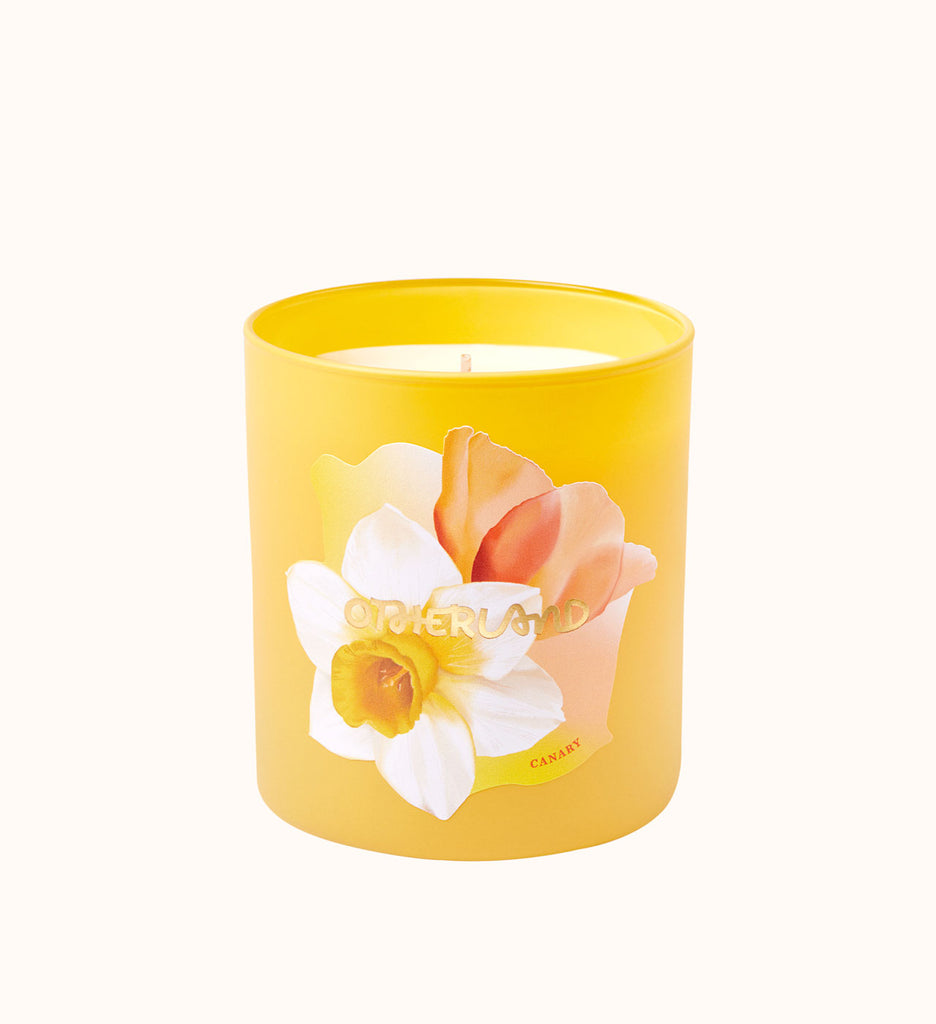 Daffodil Candle - Canary