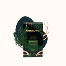 Fallen Fir Pura Refill