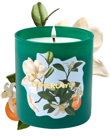Verdant Verve