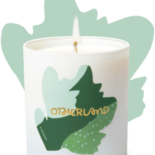 Candles - Canopy