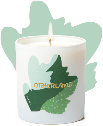 Candles - Canopy