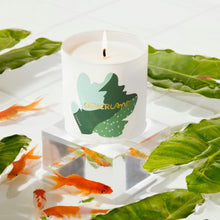 Candles - Canopy