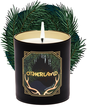 Gilded Collection - Fallen Fir